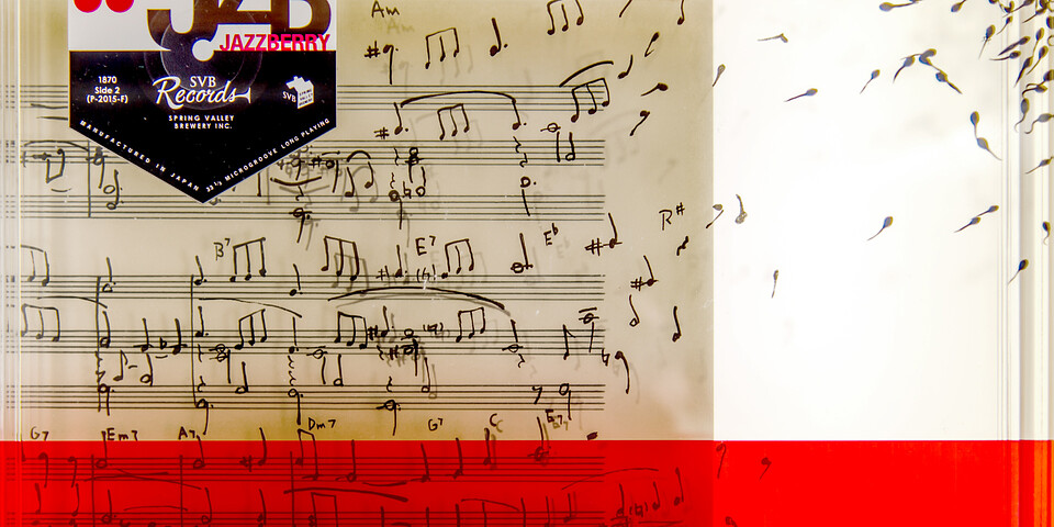 CONCEPT ART : ART IN DRAWERS "JAZZBERRY" 3